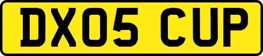 DX05CUP