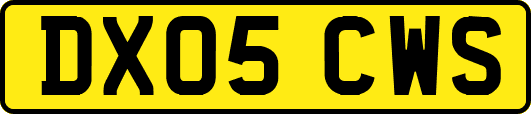 DX05CWS