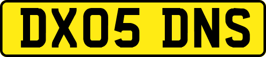 DX05DNS