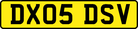 DX05DSV