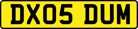 DX05DUM