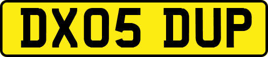 DX05DUP