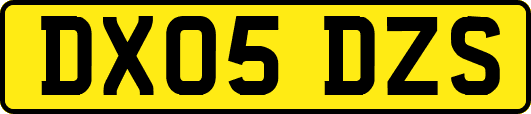 DX05DZS