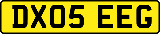 DX05EEG