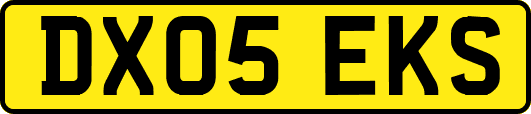 DX05EKS