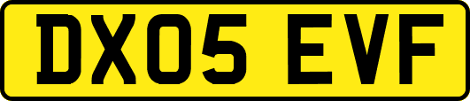 DX05EVF