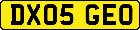 DX05GEO