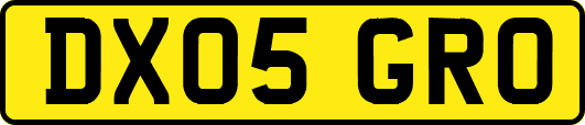 DX05GRO