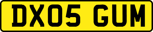DX05GUM