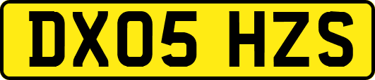 DX05HZS