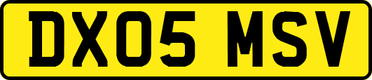 DX05MSV