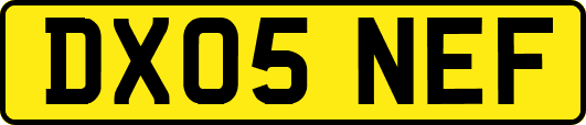 DX05NEF