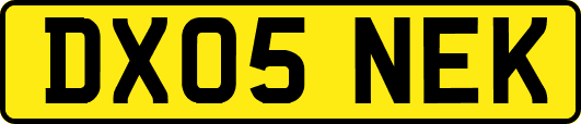 DX05NEK