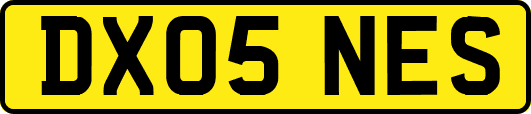 DX05NES