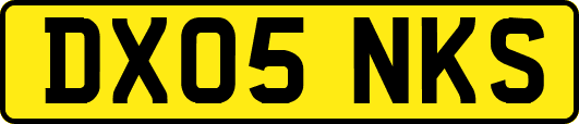 DX05NKS