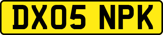 DX05NPK