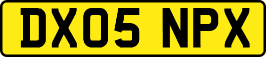 DX05NPX