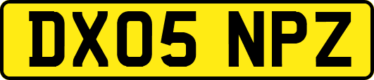 DX05NPZ