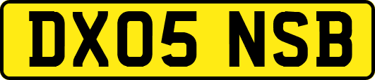 DX05NSB