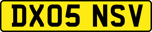 DX05NSV