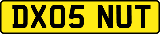 DX05NUT