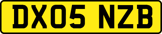 DX05NZB