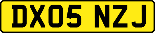 DX05NZJ