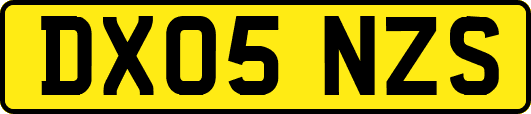 DX05NZS