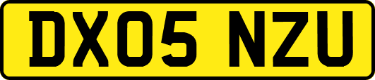DX05NZU