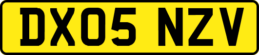 DX05NZV