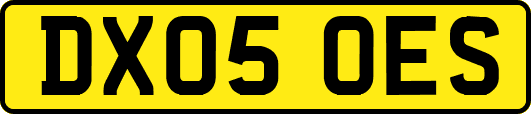 DX05OES