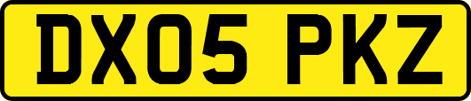 DX05PKZ