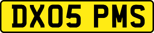 DX05PMS