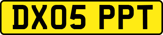 DX05PPT