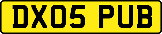 DX05PUB