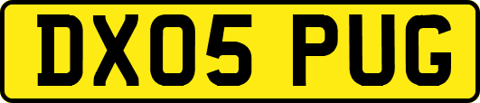 DX05PUG