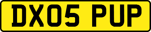 DX05PUP