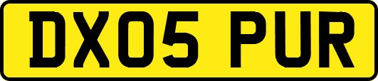 DX05PUR