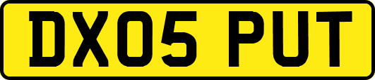 DX05PUT