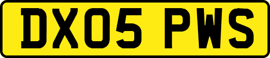 DX05PWS