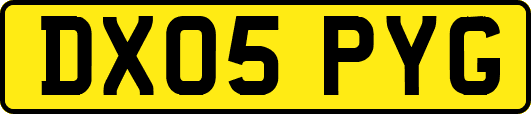 DX05PYG