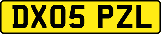 DX05PZL