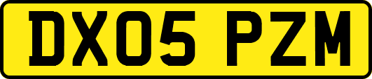 DX05PZM