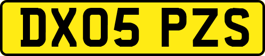 DX05PZS