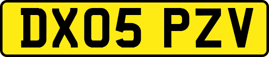DX05PZV