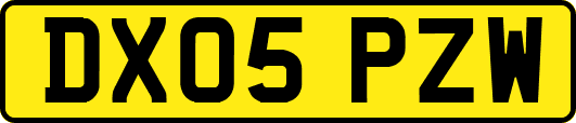 DX05PZW