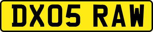 DX05RAW