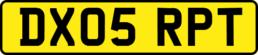 DX05RPT