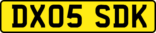 DX05SDK