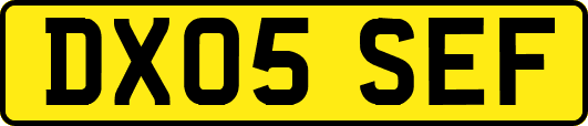 DX05SEF